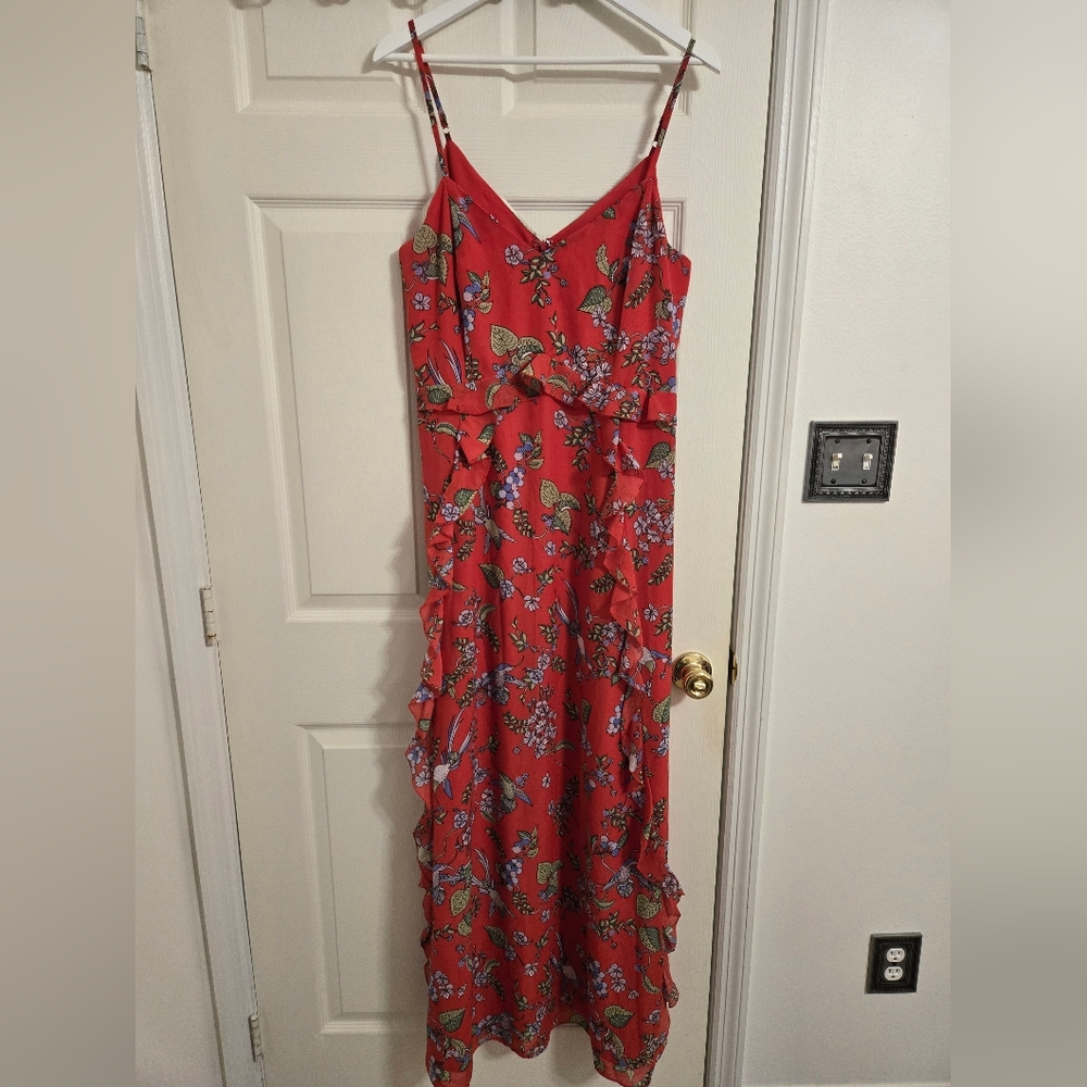 Nanette Lepore Paradise Dreaming Floral Hummingbird Print Maxi Dress Size 14